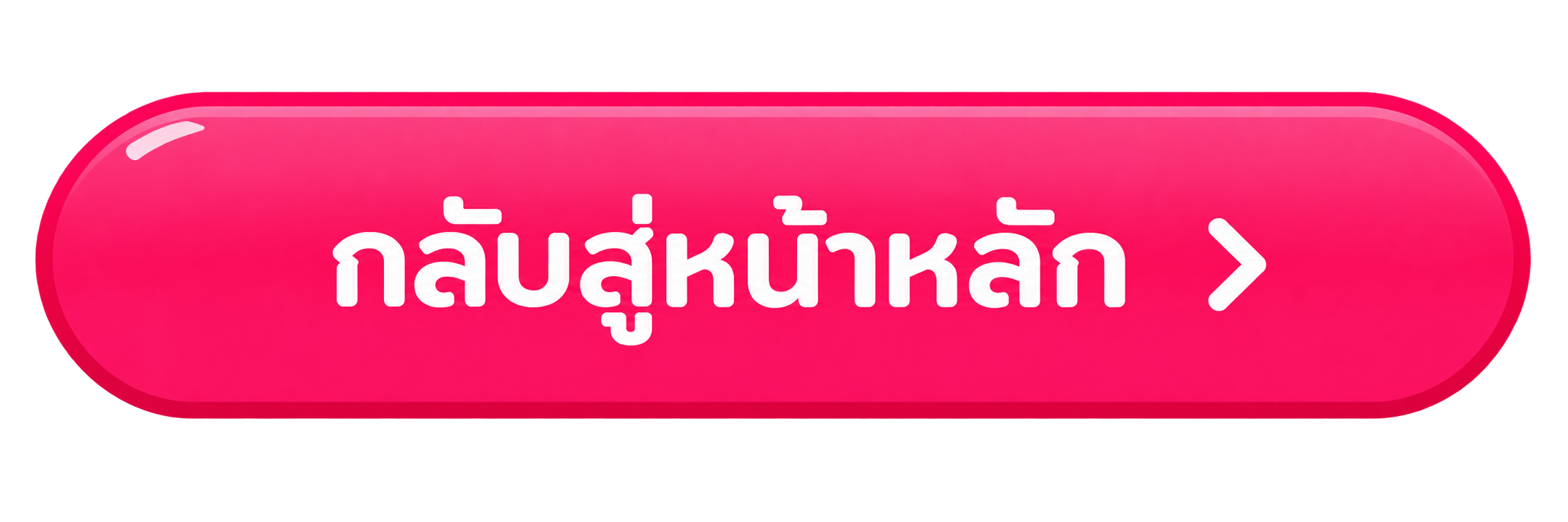 กลับสู่หน้าหลัก